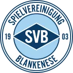 team logo